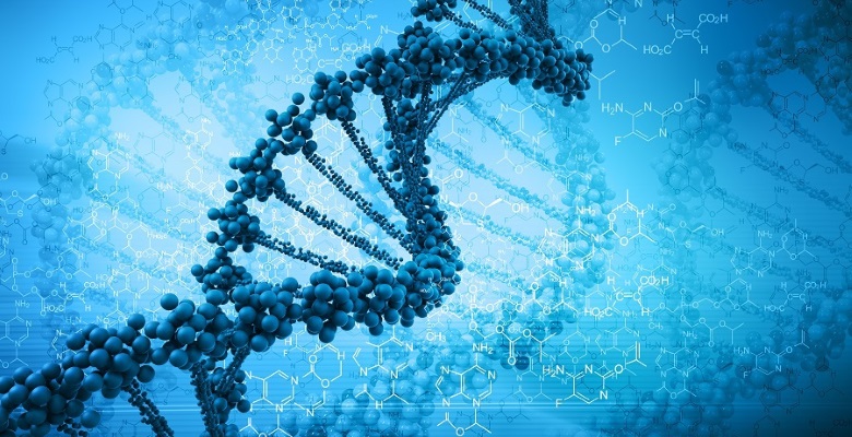 Молекулярно-генетическое тестирование на наличие мутаций гена EGFR